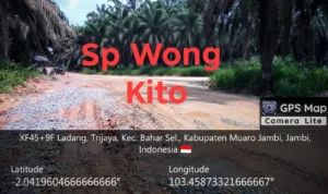 IMG_20260128_183309_773