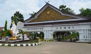 080486500_1500389900-Unja