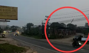 IMG-20260919-WA0034(2)
